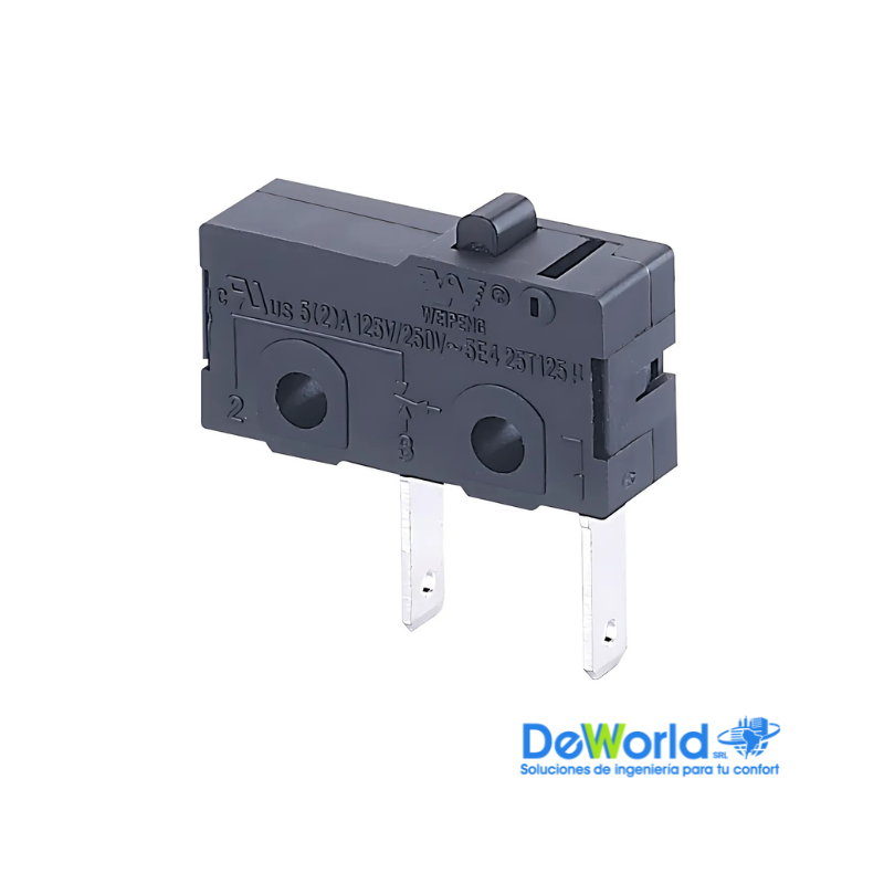 Microinterruptor de 2 Pines