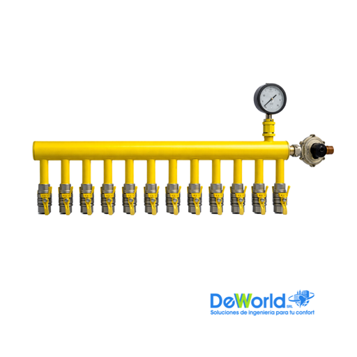 Manifold 12 Válvulas AN para Gas GLP